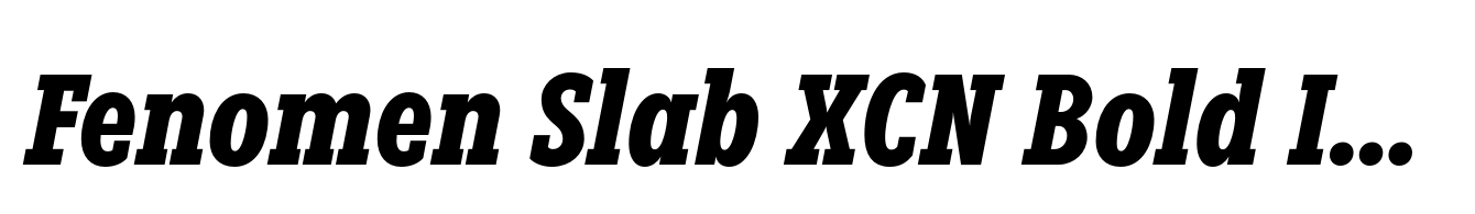 Fenomen Slab XCN Bold Italic
